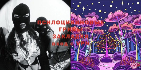 ПСИЛОЦИБИНОВЫЕ ГРИБЫ Верхнеуральск