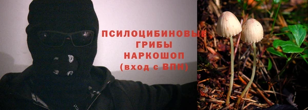 стаф Верхний Тагил