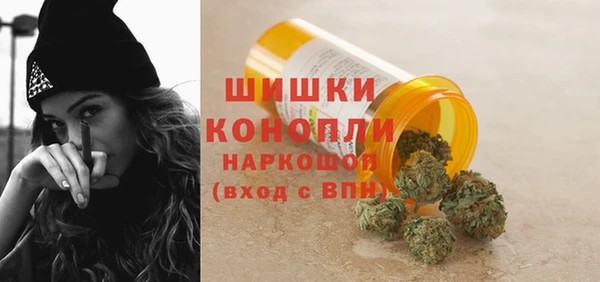 ПСИЛОЦИБИНОВЫЕ ГРИБЫ Верхнеуральск