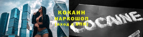 ПСИЛОЦИБИНОВЫЕ ГРИБЫ Верхнеуральск