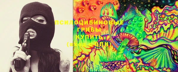 стаф Верхний Тагил
