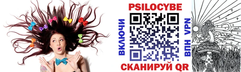 Галлюциногенные грибы GOLDEN TEACHER где купить наркоту Новочебоксарск